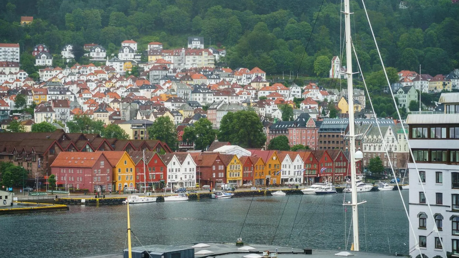 Unique Gem Overlooking The World Famous Bryggen Bergen